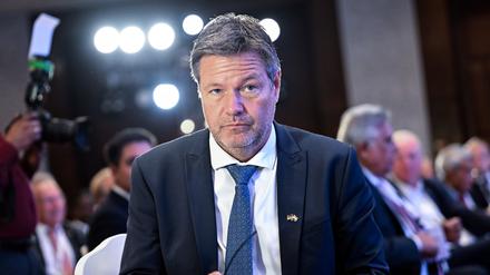 Robert Habeck, derzeit mit einer Wirtschaftsdelegation unterwegs in Indien, dürfte nicht sehr erfreut über die Bewertung des Beirats sein.