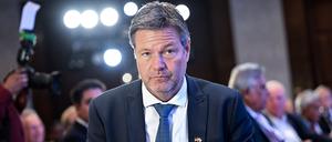 Robert Habeck, derzeit mit einer Wirtschaftsdelegation unterwegs in Indien, dürfte nicht sehr erfreut über die Bewertung des Beirats sein.
