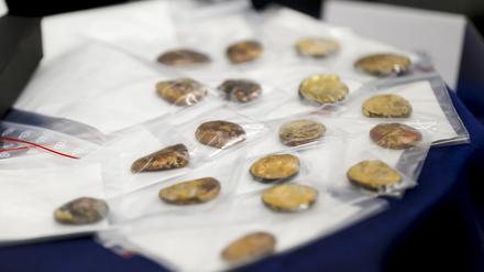 Vergleichsmünzen werden während einer Pressekonferenz des bayerischen Landeskriminalamts und der Staatsanwaltschaft München zu den Festnahmen im Fall des Manchinger Goldschatz-Diebstahls präsentiert.