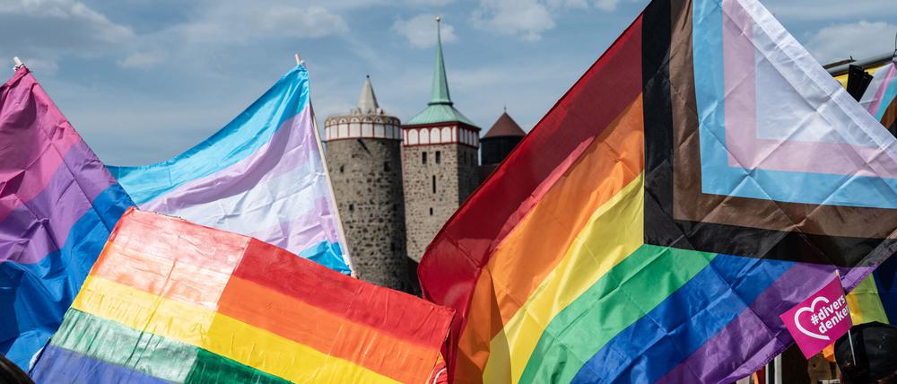 Bunt. Der erster Christopher Street Day in Bautzen.