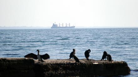 Der türkische Massengutfrachter «Tq Samsun», der im Rahmen der Getreide-Initiative mit ukrainischen Agrarprodukten beladen wurde, verlässt den Hafen von Odesa in der Südukraine.