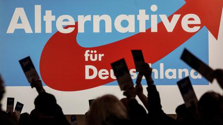Szene vom Landesparteitag AfD Hessen im Frühjahr 2023.