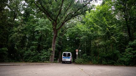 Ein Polizeiwagen fährt in einen Wald (Symbolbild). 