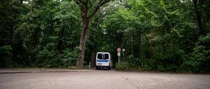 Ein Polizeiwagen fährt in einen Wald (Symbolbild). 