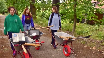 Workcamp am Alten Anstaltsfriedhof von Reinickendorf