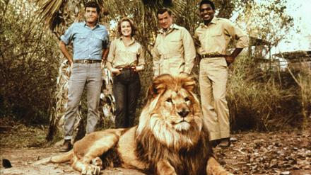 89 Episoden der Serie „Daktari“ mit Yale Summers, Cheryl Miller, Marshall Thompson, Hari Rhodes und Löwe Clarence wurden ab 1966 zunächst im US-Fernsehen gezeigt.   
