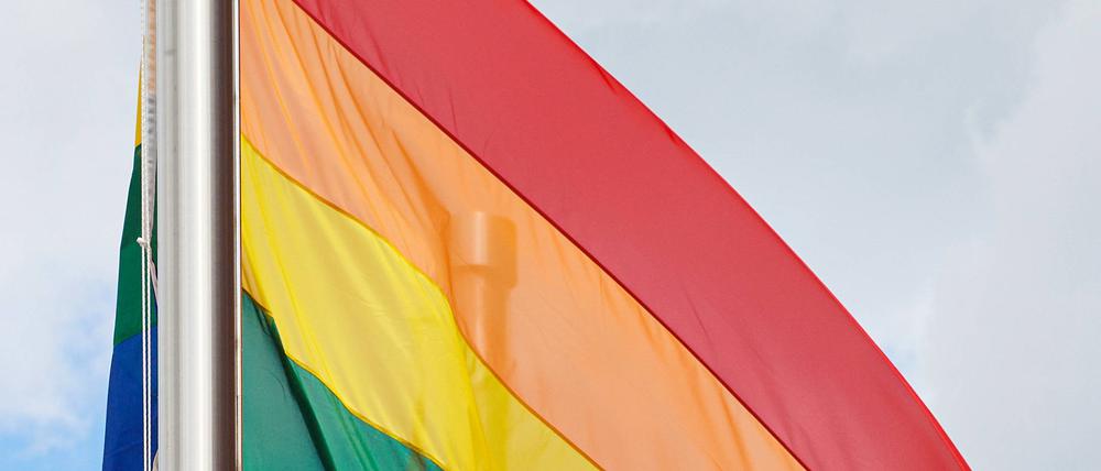 Regenbogenfahnen wehen im Wind – Symbolbild.