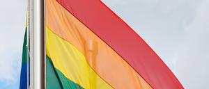 Regenbogenfahnen. 