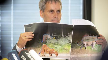 21.07.2023, Brandenburg, Kleinmachnow: Michael Grubert (SPD), Bürgermeister von Kleinmachnow, erklärt bei einem Pressegespräch anhand von Fotos, weshalb es sich bei dem gesuchten Raubtier um keine Löwin handelt. Die Polizei hat auf der Suche nach einer mutmaßlichen Löwin Entwarnung gegeben. Foto: Paul Zinken/dpa +++ dpa-Bildfunk +++