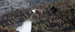 Griechenland - Zerstörung im Gebiet von Agia Sotiras in Dervenochoria durch das Feuer, das in den vergangenen Tagen hier wütete, Freitag, 21. Juli 2023. Dervenochoria, Region Böotien, etwa 40 km nordwestlich von Athen. Dervenochoria - Böotien *** Greece Destruction in the area of Agia Sotiras in Dervenochoria by the fire that raged here in recent days, Friday, July 21, 2023 Dervenochoria, Boeotia region, about 40 km northwest of Athens Dervenochoria Boeotia. PUBLICATIONxNOTxINxGRE ANE5935179