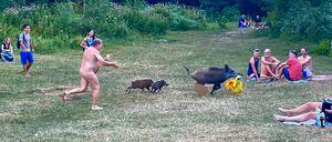 Nackter Mann rennt am Teufelssee einer Wildsau hinterher, die ihm eine Tasche mit seinem Laptop gestohlen hat.