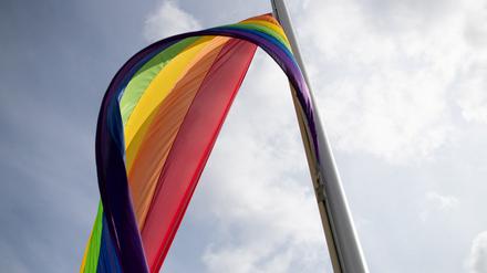 Eine Regenbogenflagge (Symbolbild).