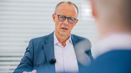 Friedrich Merz im ZDF-Sommerinterview.