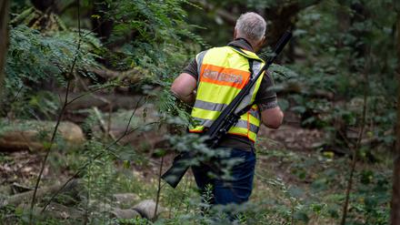 Die Suche nach einer angeblichen Löwin hält Polizei und Gemeinde mehr als 30 Stunden in Atem. 