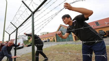 Mit Blick auf die Teilung Koreas und die Spuren der Teilung Deutschlands gewähren 18 koreanische und internationale Künstler:innen ganz persönliche Einblicke in ihre Gefühls- und Erfahrungswelten. 