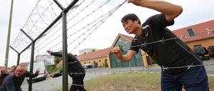 Mit Blick auf die Teilung Koreas und die Spuren der Teilung Deutschlands gewähren 18 koreanische und internationale Künstler:innen ganz persönliche Einblicke in ihre Gefühls- und Erfahrungswelten. 