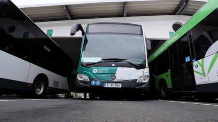 Keine Fahrer: Dem Potsdamer Verkehrsbetrieb fehlen Busfahrer. Kommen stattdessen künftig Taxis?