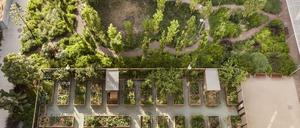 Städtische Gartenbauflächen in der Gegend von Poblenou