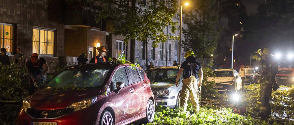 Die Gewitterböen rissen viele Äste von den Straßenbäumen.