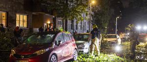 Die Gewitterböen rissen viele Äste von den Straßenbäumen.