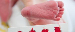 Das Blut für ein Neugeborenen-Screening wird bei den Babys meist am Fuß abgenommen. 