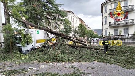 Ein Baum ist nach einem schweren Unwetter in der Nacht auf einen Lkw gestürzt. Starke Orkanböen sowie schwere Hagelschauer und Regenfälle sorgten für umgestürzte Bäume, blockierten Straßen und beschädigten Häuser.