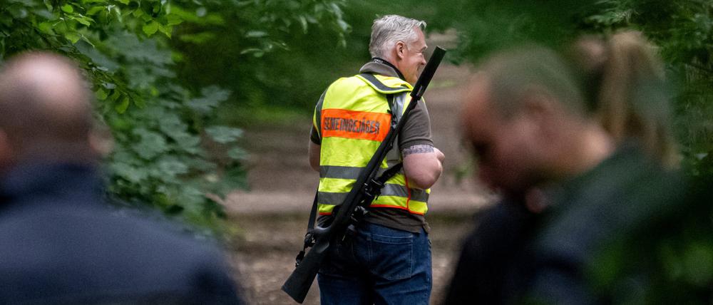 Löwenjagd in Kleinmachnow: Der Gemeindejäger samt Polizei durchsuchen den Wald.