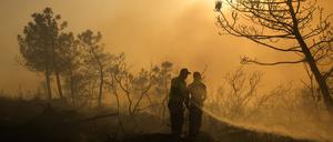 Feuerwehrleute versuchen einen Waldbrand in Beykoz, einem Vorort von Istanbul, zu löschen. 