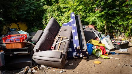 In Berliner Grünanlagen wird immer wieder illegal Müll abgeladen. Hier etwa eine gesamte Wohnzimmereinrichtung.