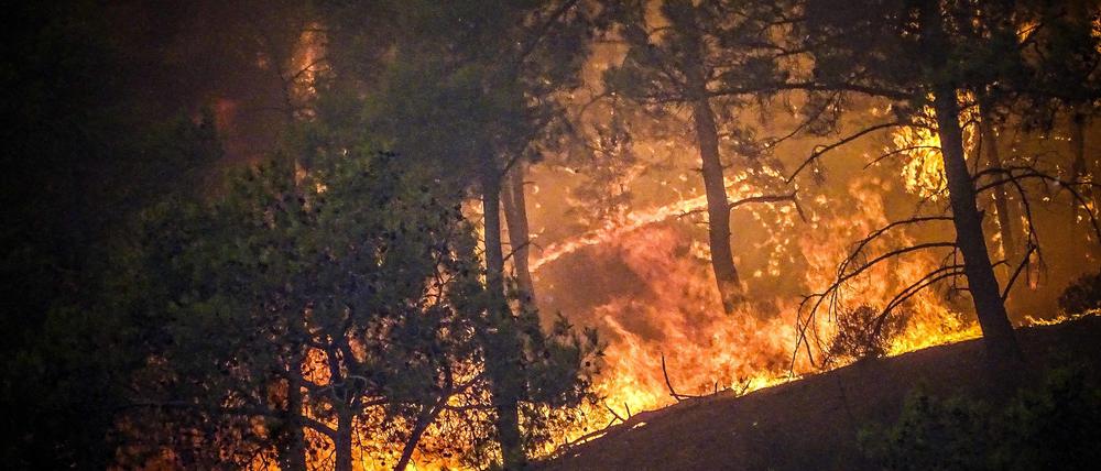 Ein Waldbrand (Symbolbild).