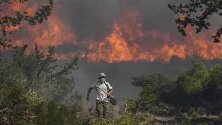 25.07.2023, Griechenland, Rhodos: Ein Wald steht in Flammen im Dorf Vati.