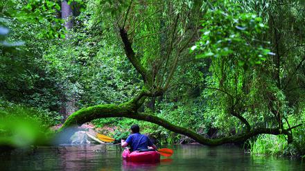 Natur-Reportage: Mit Rad und Zelt durchs Ruppiner Seenland