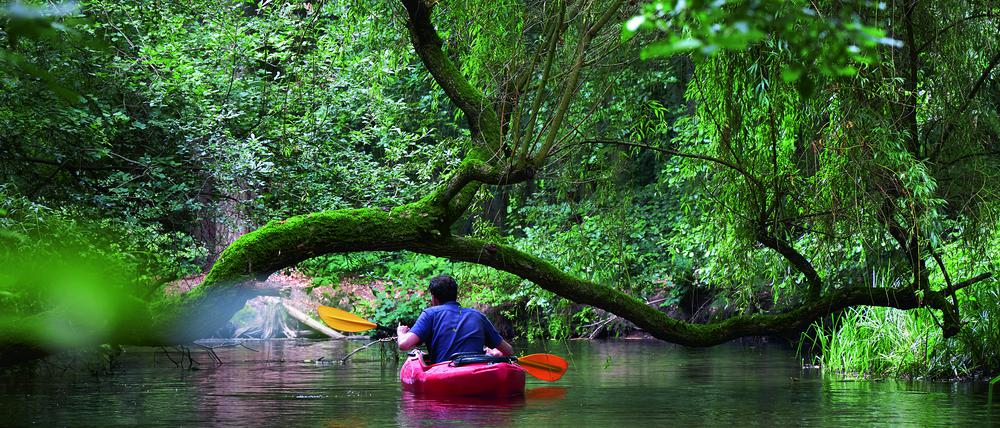 Natur-Reportage: Mit Rad und Zelt durchs Ruppiner Seenland