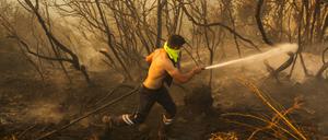 Das Feuer in Izmir ist nicht der erste Waldbrand in diesem Jahr in der Türkei. Hier kämpft ein Feuerwehrmann am 26.07.2023 gegen einen Waldbrand in Beykoz an, einem Vorort von Istanbul.