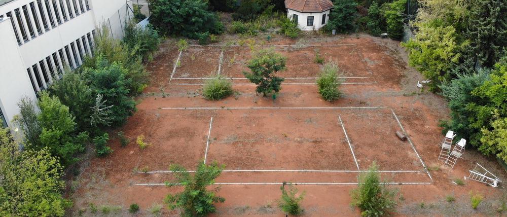 Einst Sportplatz für die Forschungselite, jetzt Brache: Hinter dem Henry-Ford-Bau der FU verfallen Tennisplätze – weil sich die beteiligten Einrichtungen offenbar nicht über das Grundstück einigen können.