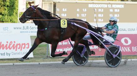 Vor einem Jahr gewann Thorsten Tietz mit Days of Thunder das Deutsche Traber-Derby in Mariendorf.