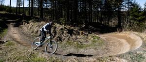 Ein Mountainbiker fährt über den Freeride Trail.
