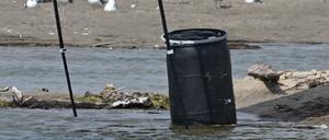 Dieses Fass mit einer Leiche wurde am Stand von Malibu gefunden.