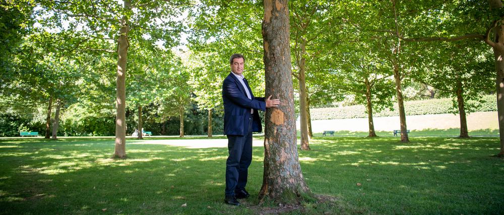 Markus Söder (CSU), Ministerpräsident von Bayern, steht neben einem Baum im Hofgarten hinter der bayerischen Staatskanzlei.