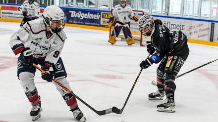Die Eisbärinnen (li. Pauline Gruchot) starten Ende September in die neue Saison.