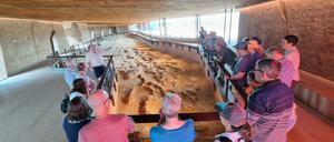 Das Dinosauriermuseum in Winton lädt seit 2002 dazu ein, sich auf die Spuren der Urtiere zu begeben.