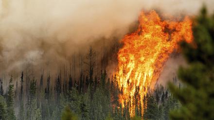 Ein Waldbrand wütet in der Region Donnie Creek. (Archivfoto)