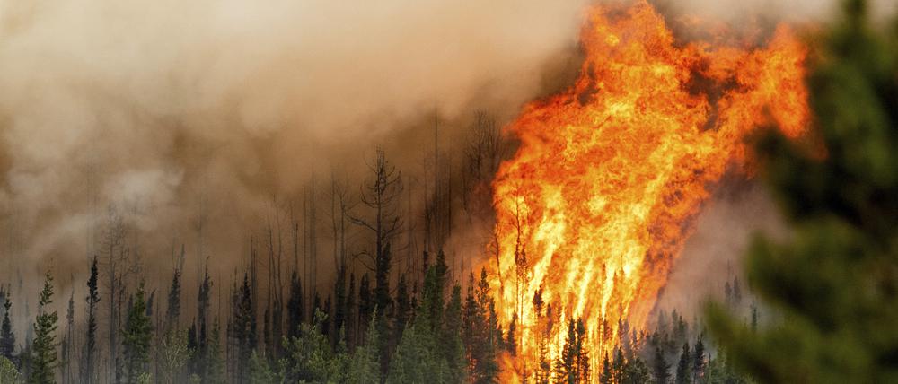 Ein Waldbrand wütet in der Region Donnie Creek. (Archivfoto)