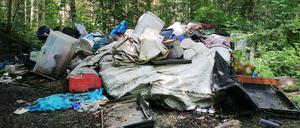 Eine Müllkippe mitten im Wald.