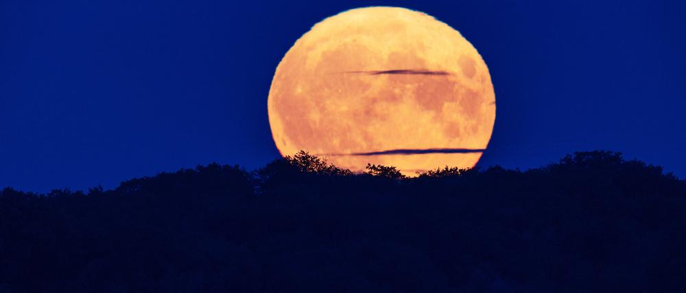 Der Vollmond geht über dem Schweriner See auf.