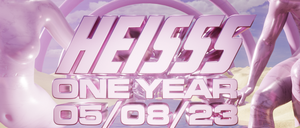 Visual Heiss one year