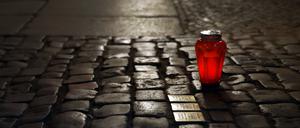 Neun neue Stolpersteine erinnern in Cottbus an die Nazi-Diktatur.