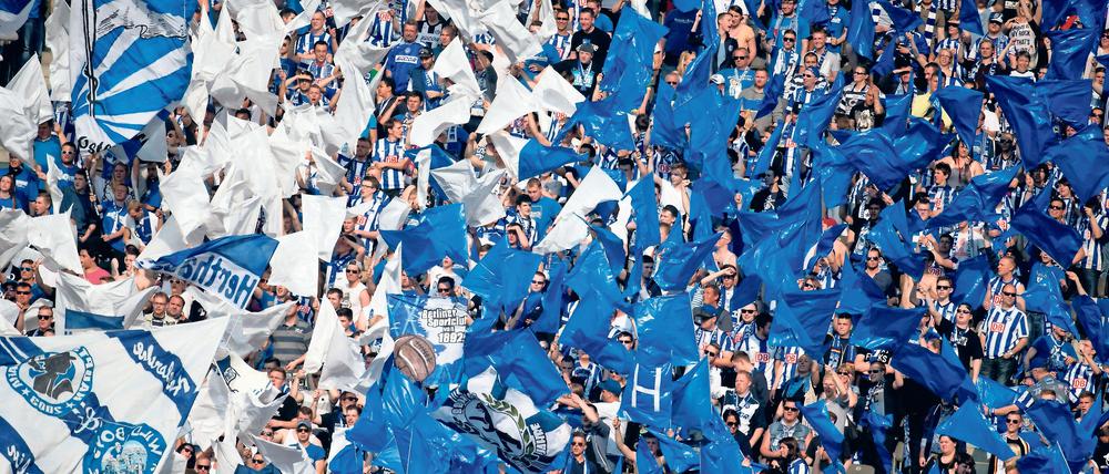 An Fanunterstützung mangelt es Hertha BSC derzeit nicht.