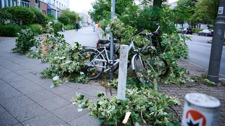 Am Morgen nach dem Sturm am 24. Juli liegt ein Ast über einem Radweg in Mitte.