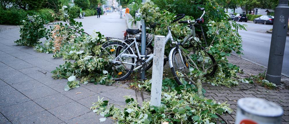 Am Morgen nach dem Sturm am 24. Juli liegt ein Ast über einem Radweg in Mitte.
